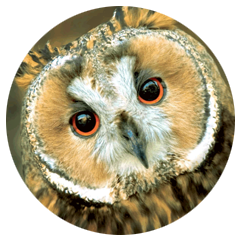 Call to action 3 Immagine