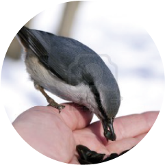 Call to action 2 Immagine