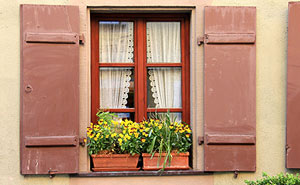 iniziare a fare birdgarden