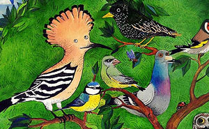 scopri quali uccelli puoi vedere nel tuo birdgarden