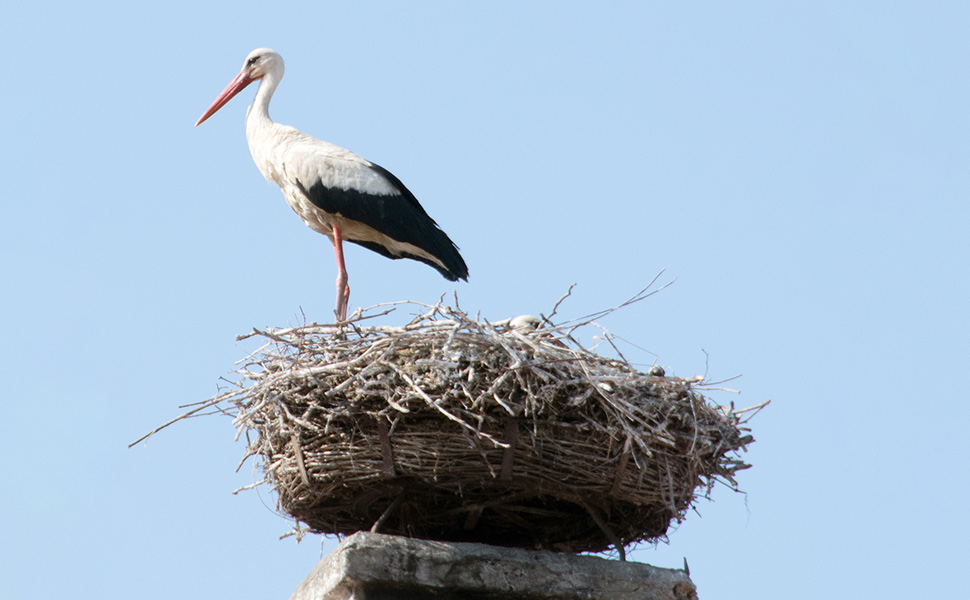 Paul-Asman-and-Jill-Lenoble
