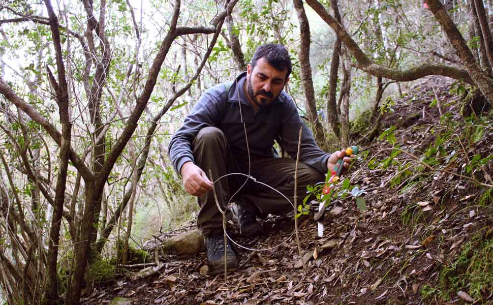 Fulvio Mamone Capria è l'attuale Presidente della Lipu (foto: Archivio Lipu)