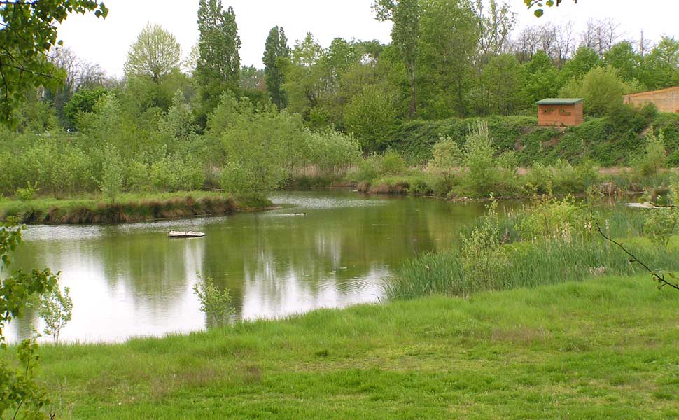 Uno scorcio dell'Oasi (foto: Andrea Mazza)