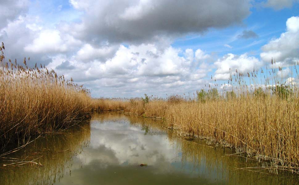 Un canale in autunno (foto: Giulio Benatti)