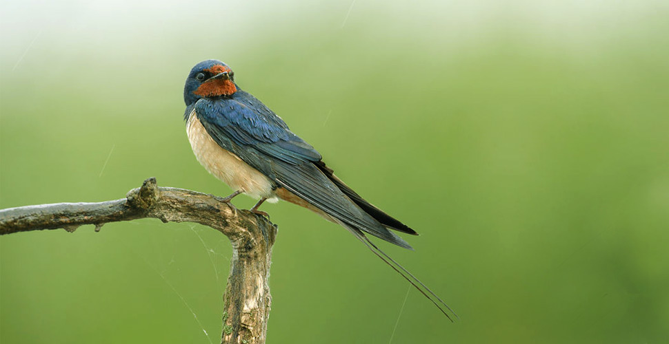  Martin Mecnarowski (http://www.photomecan.eu/) - Opera propria Con licenza CC BY-SA 3.0 tramite Wikimedia Commons -