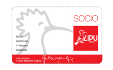 rinnovare tessera socio lipu