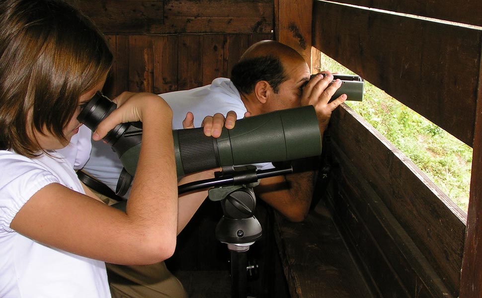 Birdwatching in capanno (foto: A. Mazza)